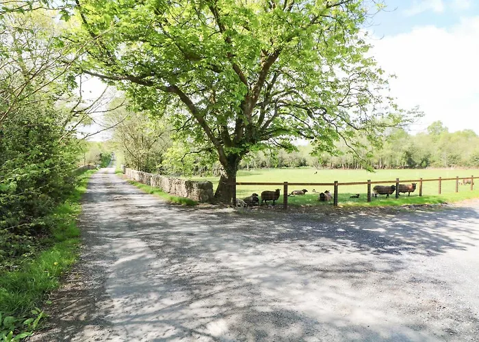 Yew Tree House Ferienhaus *